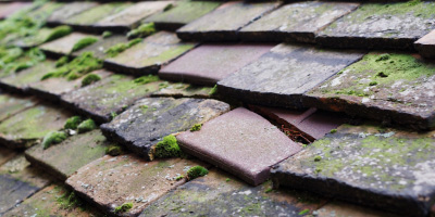 Rainford roof repair costs